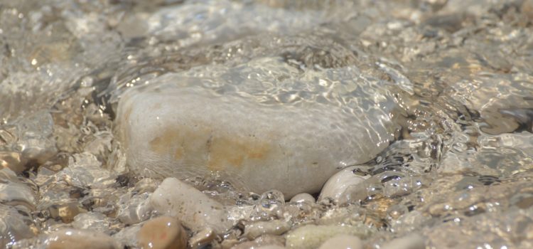 mindfulness para mejorar tu vida